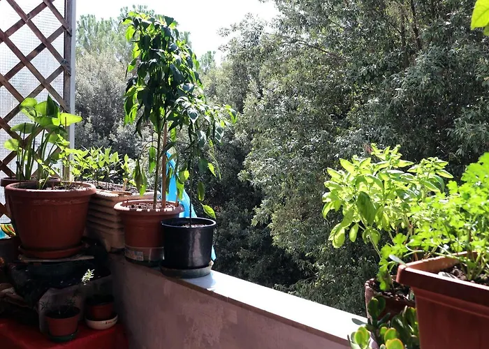 Laurentis - Stanze Eur Guest house *